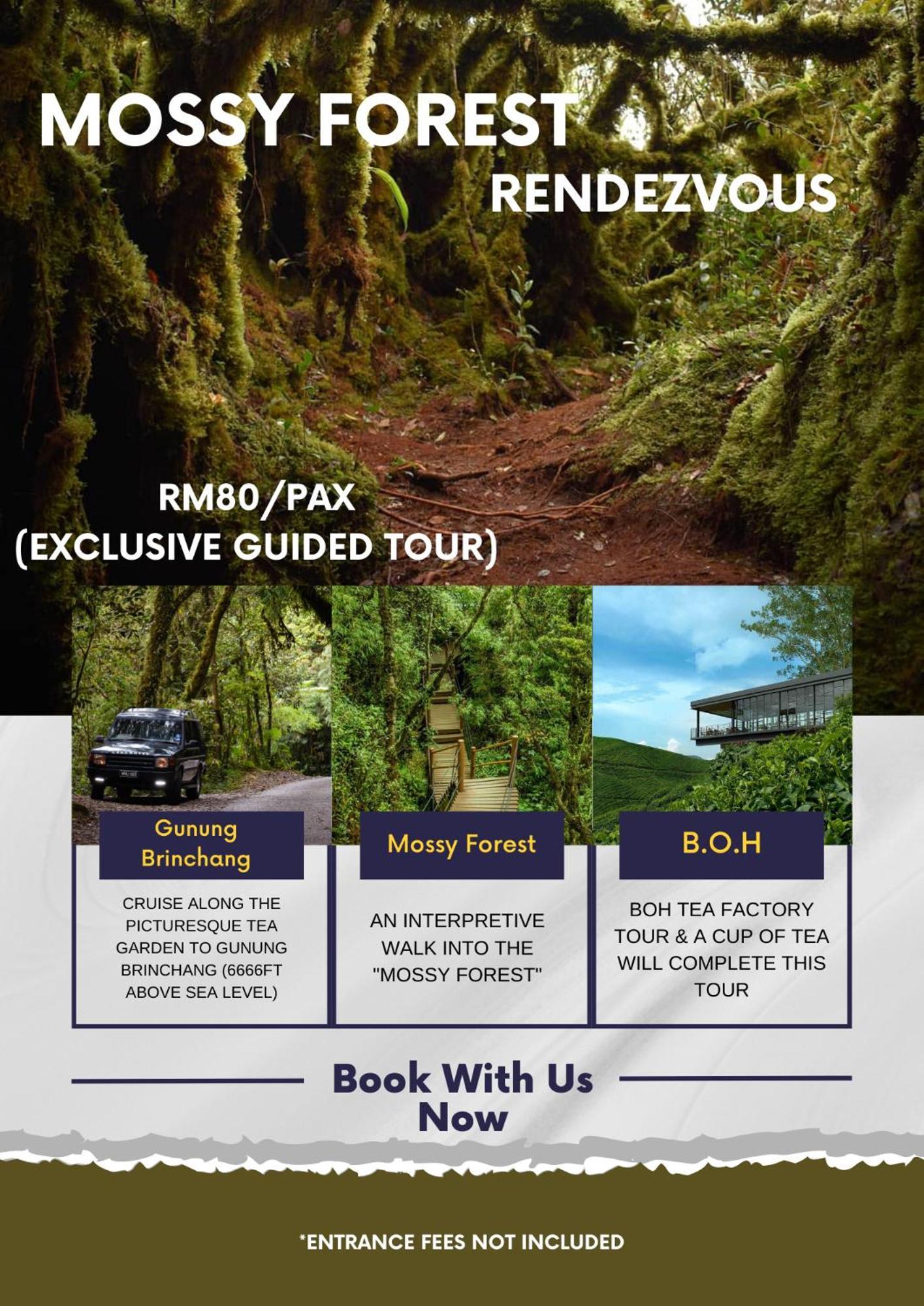 Rovers Inn Guesthouse - Age 11 And Above Only (Adults Only) Tanah Rata Exterior photo